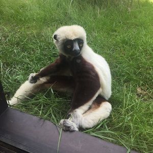 Meet your Posher, Maxine